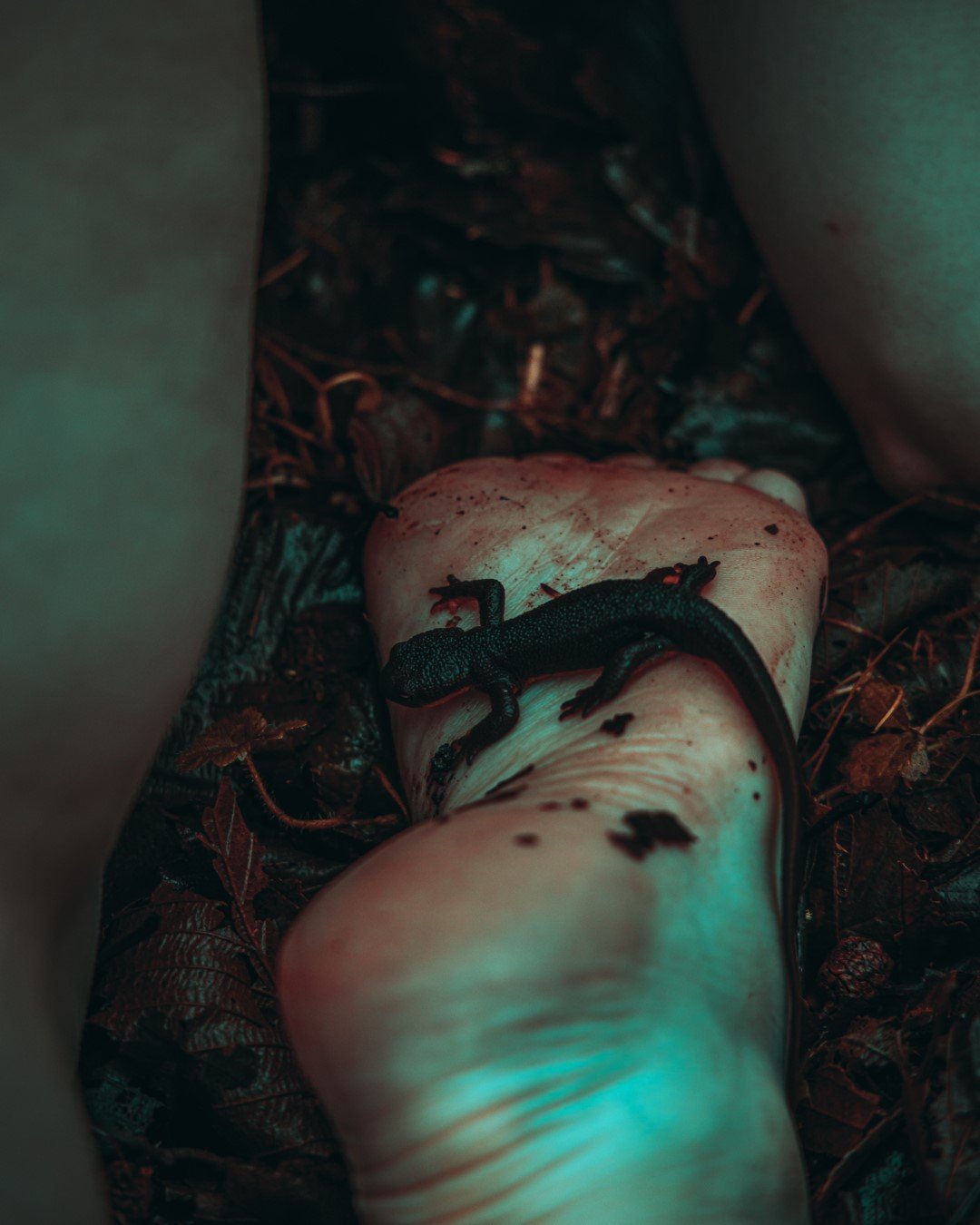 alayna pond-16 (Large).JPG