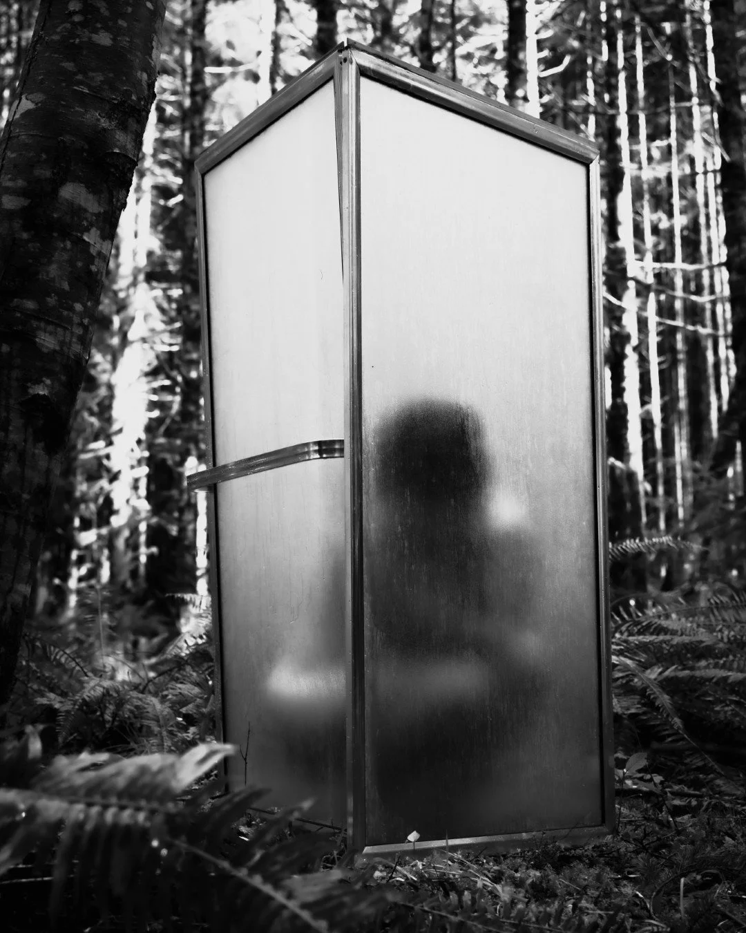Forest Shower-23 (Large).JPG
