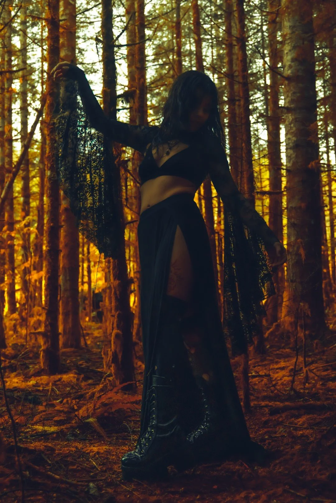 alexis tv-14 (Large).JPG