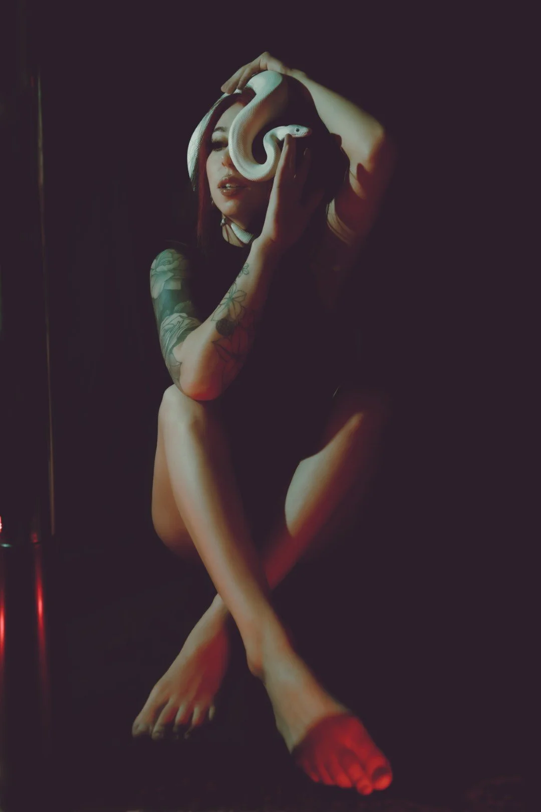 Nyx and Zuzu-26 (Large).JPG