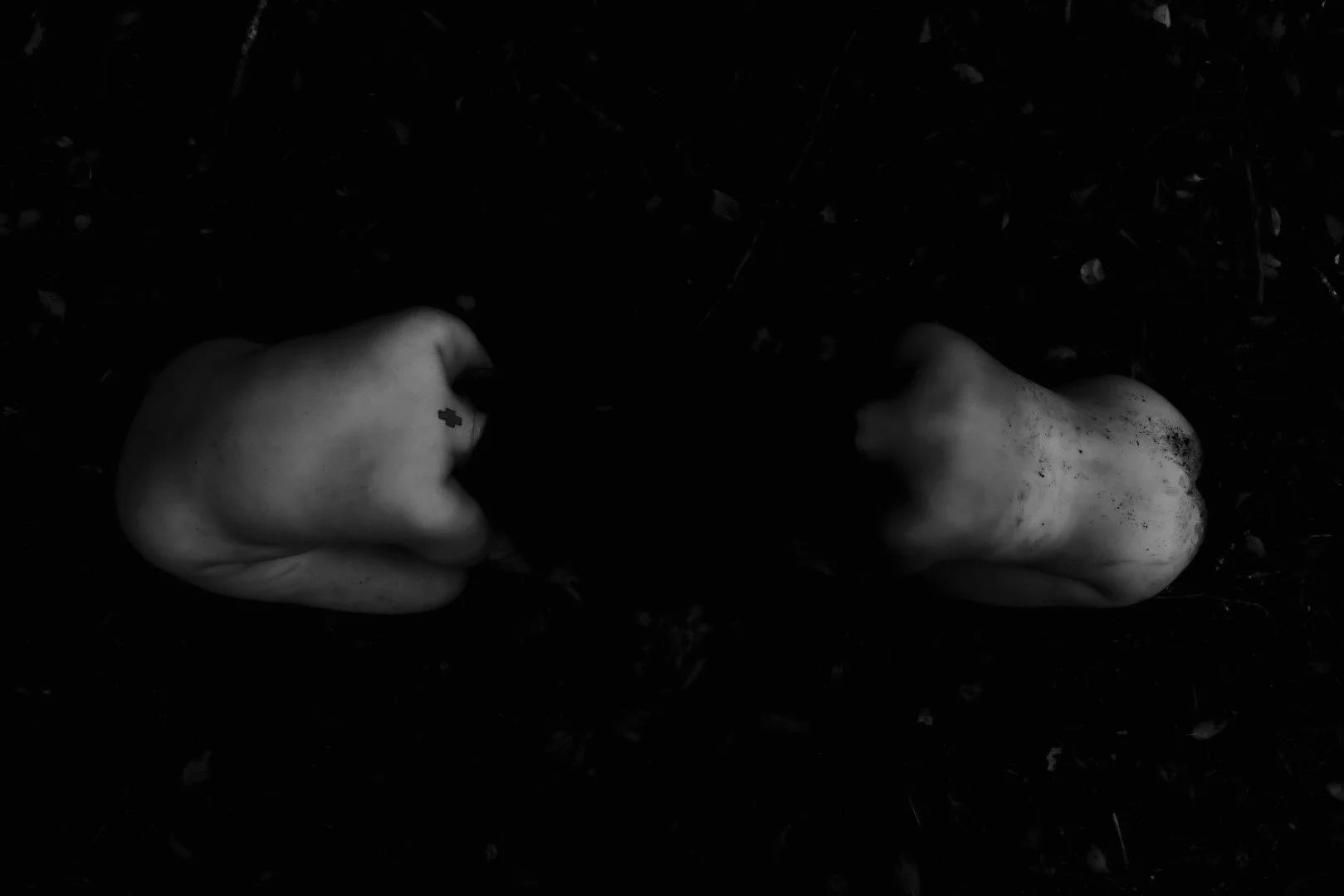 Enduring-63 (Large).JPG