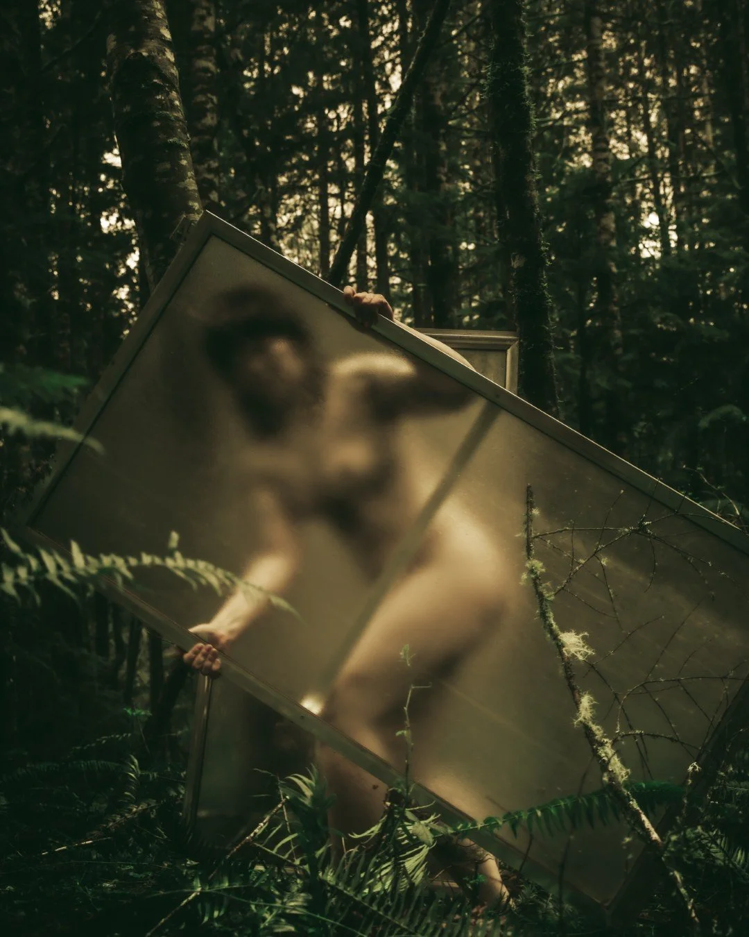 Forest Shower-60 (Large).JPG