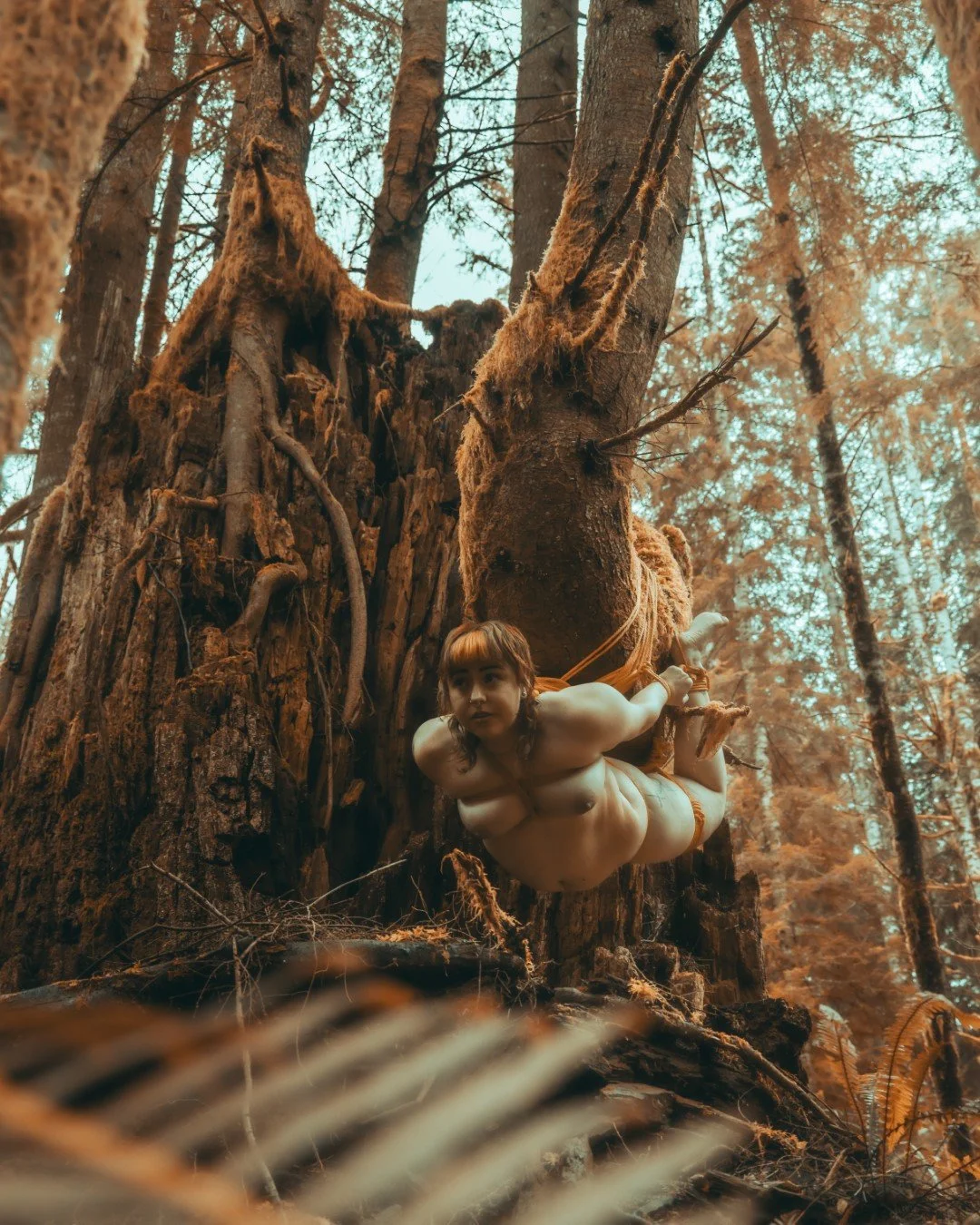 Billie Suspension-9 (Large).JPG