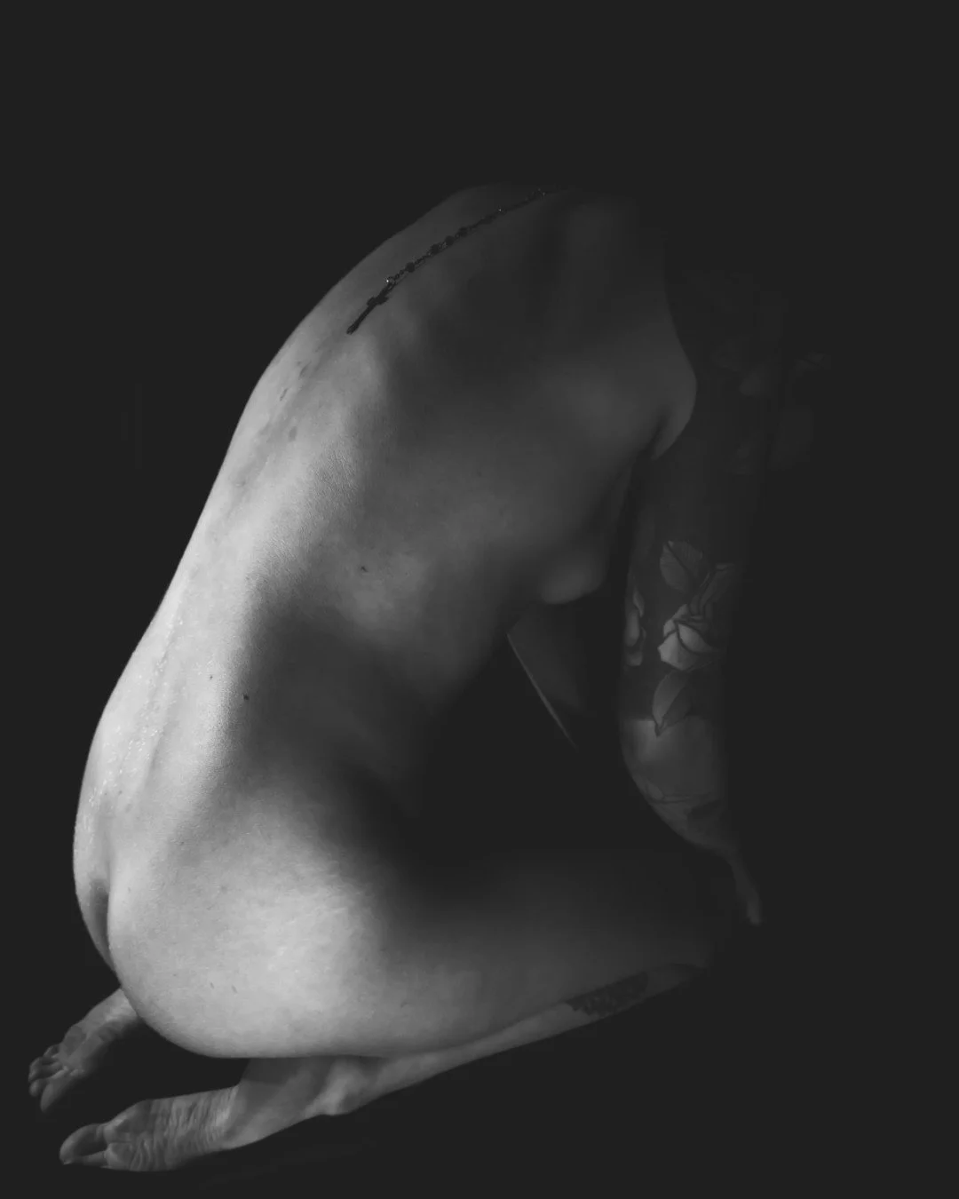 Nyx and Zuzu-81 (Large).JPG