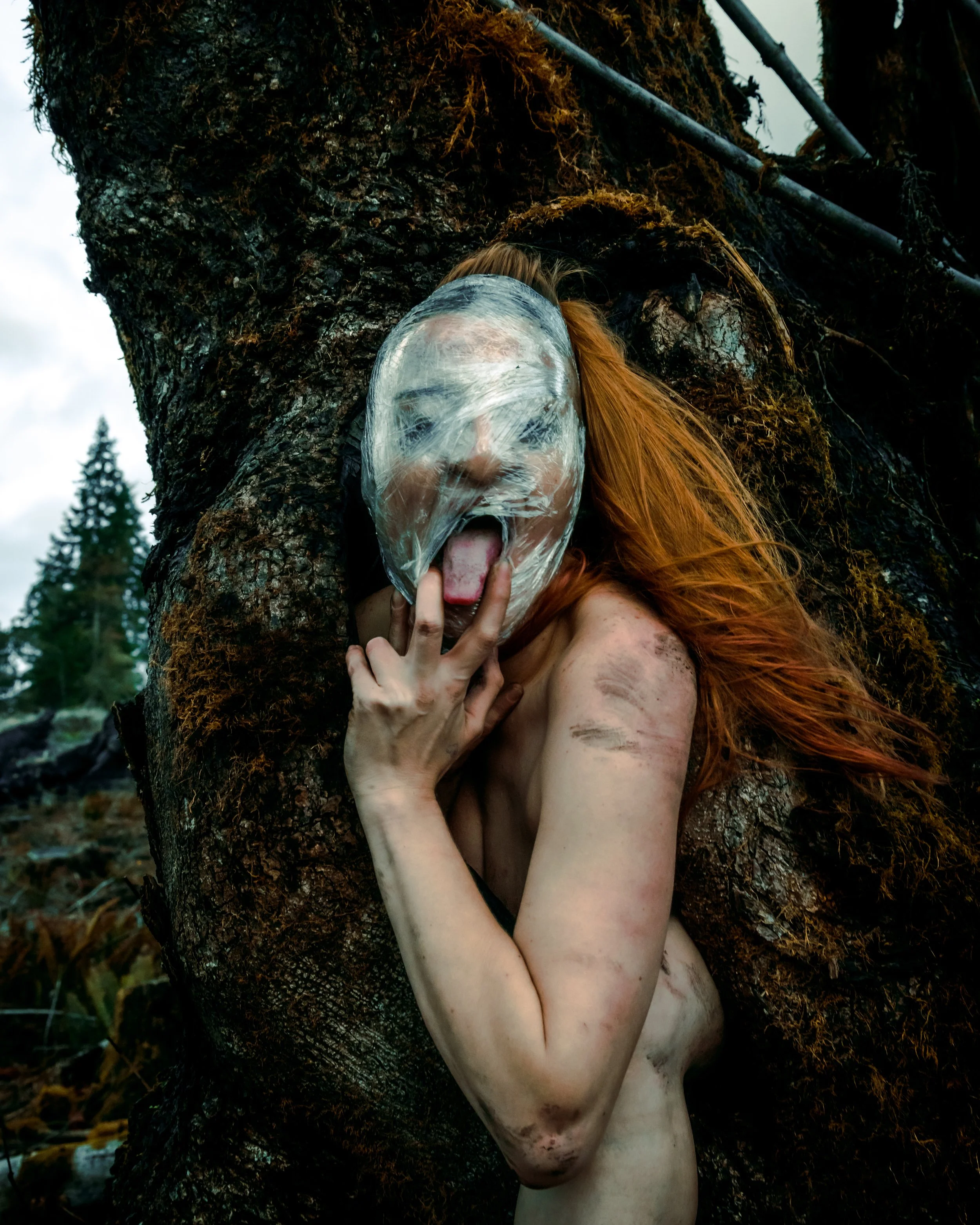 Saran Wrap Tree-27.jpg