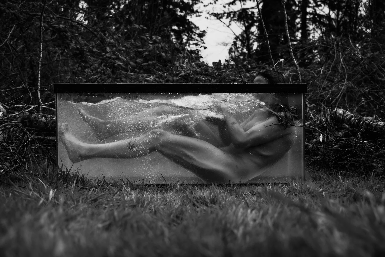 Shy Tank-63 (Large).JPG