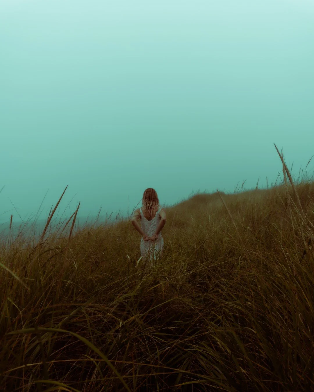 wagon-58 (Large).JPG