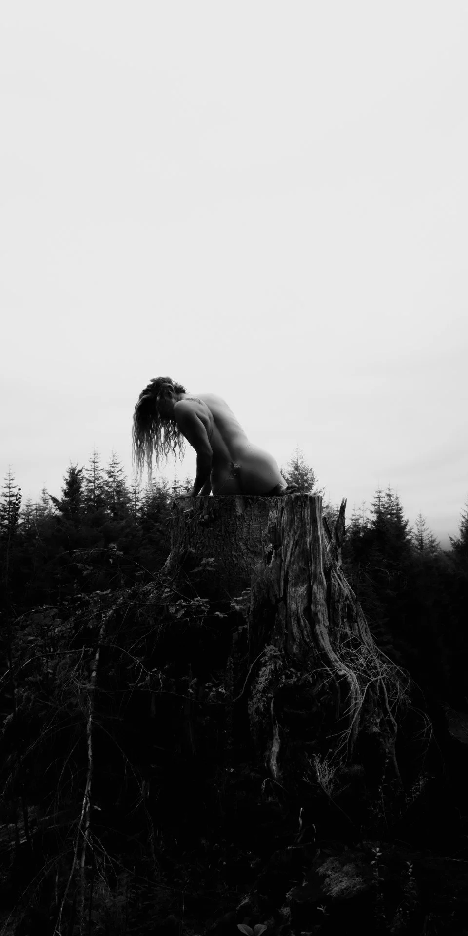 Burdened-26 (Large).JPG