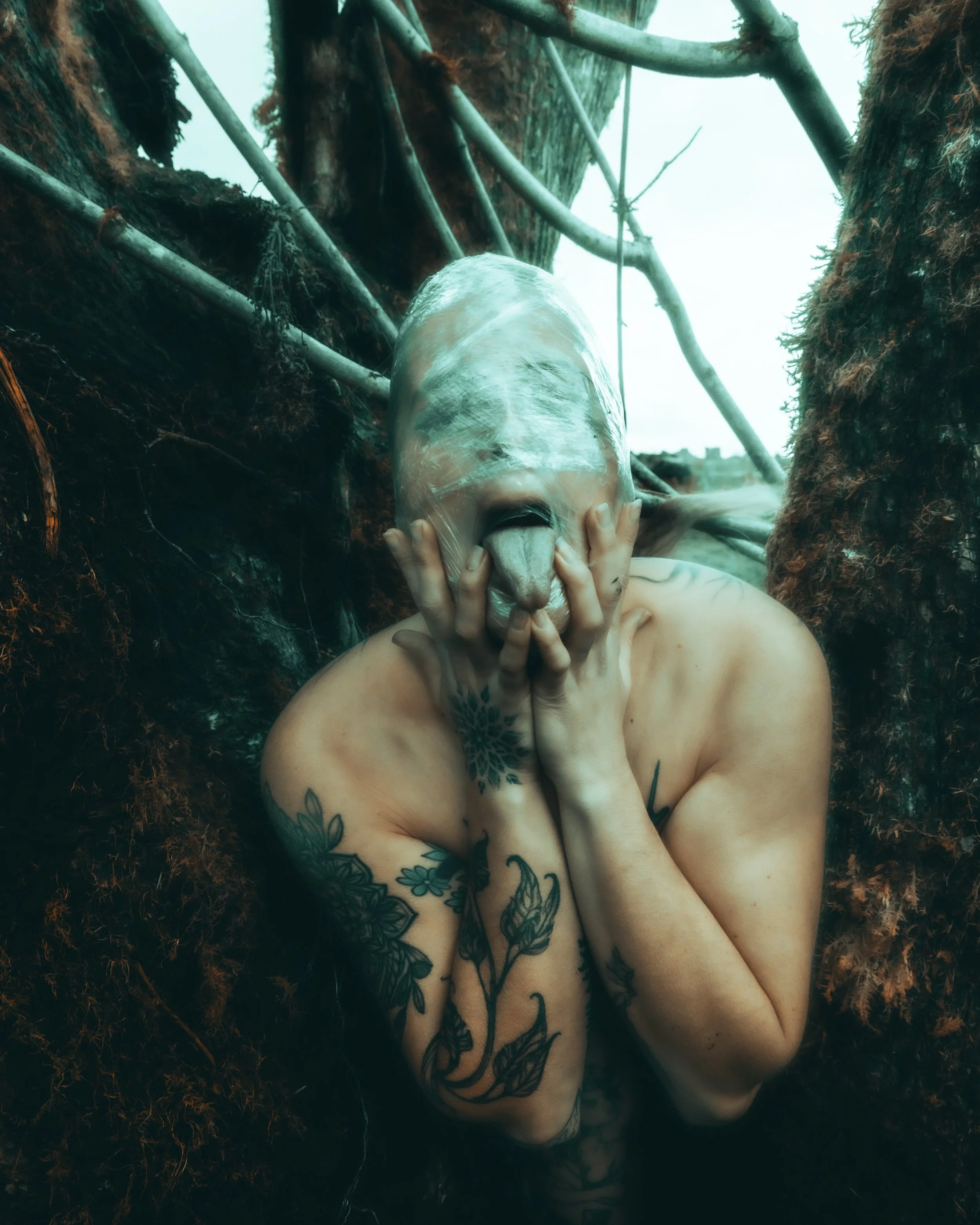 Saran Wrap Tree-31.jpg