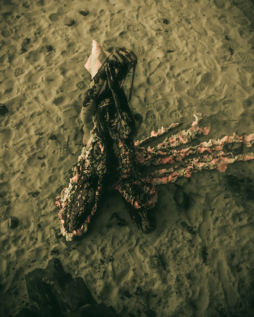 Squid beach-137 (Large).JPG