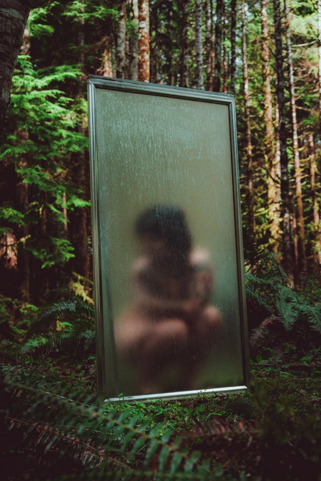 Forest Shower-24 (Large).JPG