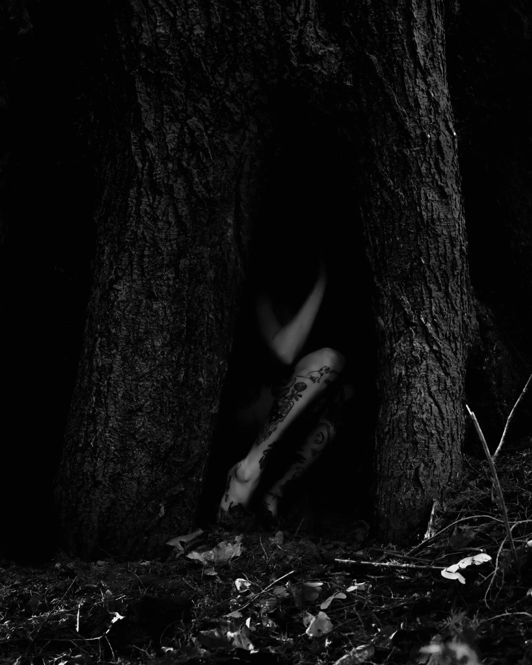 devil tree-13 (Large).JPG