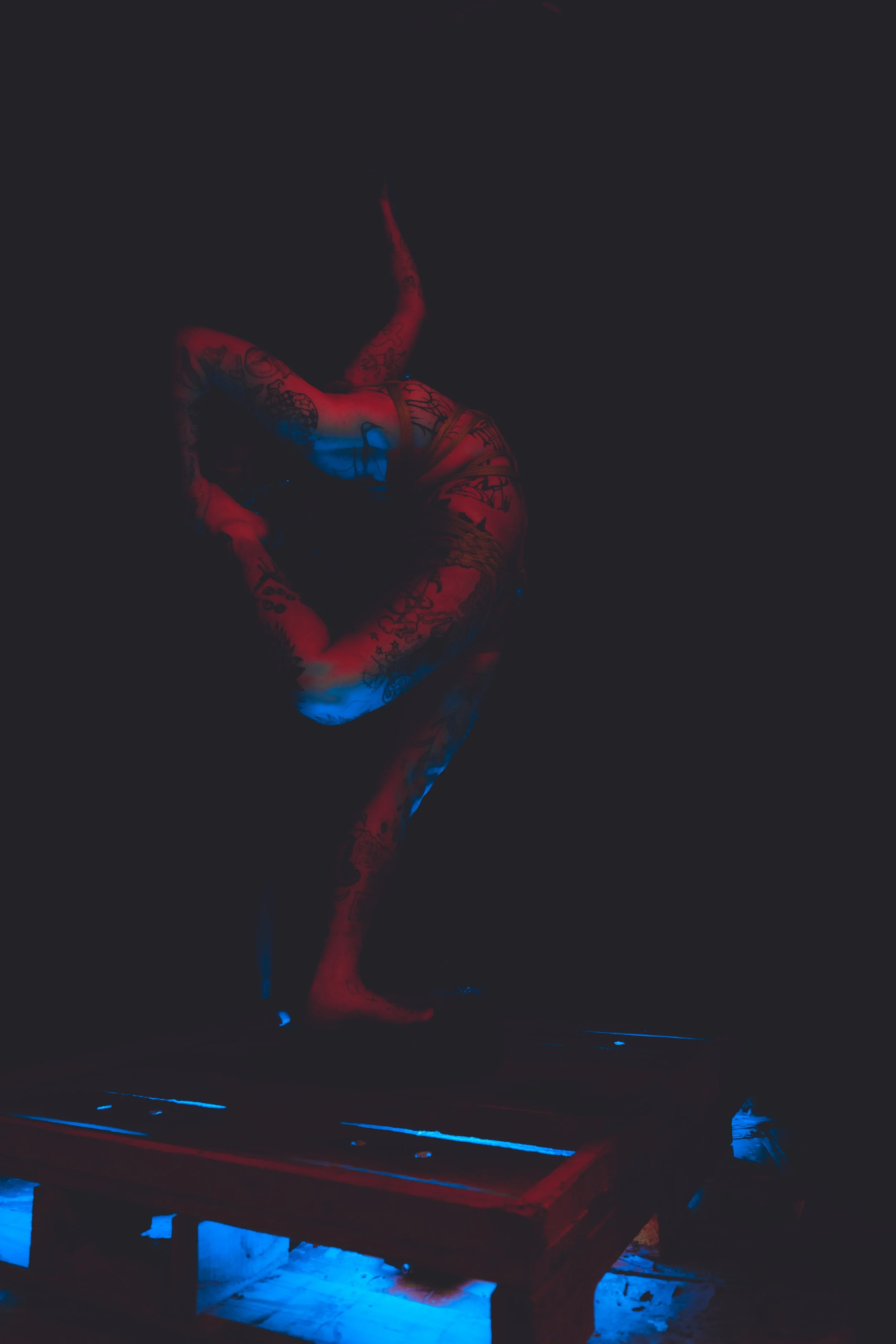 Alice rope and tubes-2.JPG