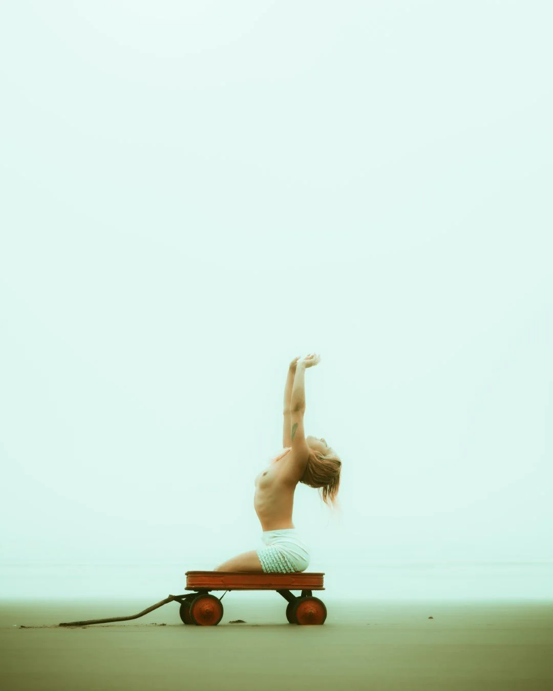 wagon-21 (Large).JPG