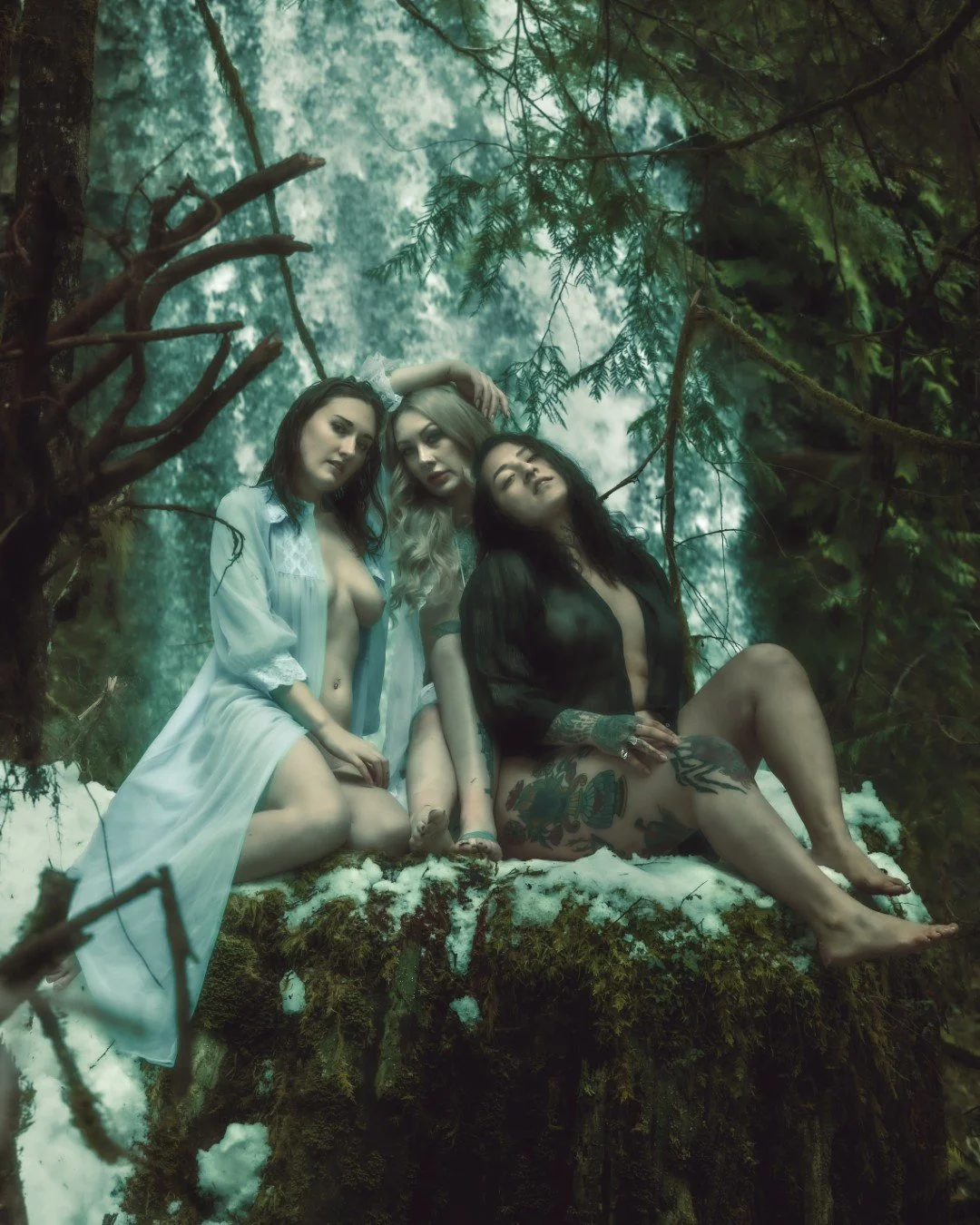 gnat falls snow-1 (Large).JPG