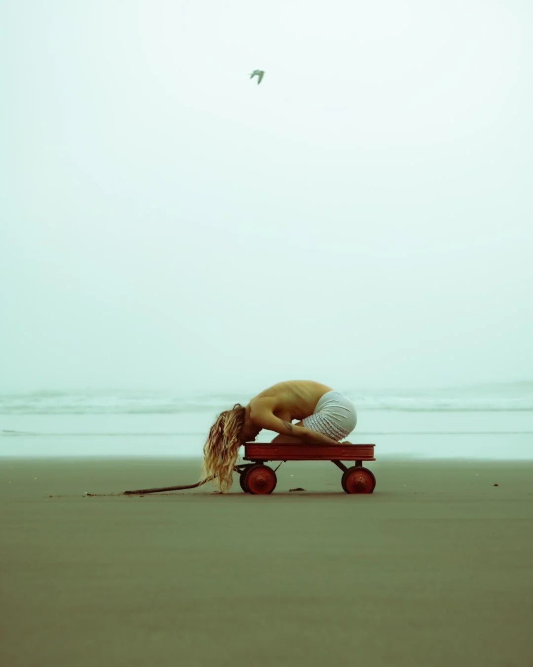 wagon-15 (Large).JPG