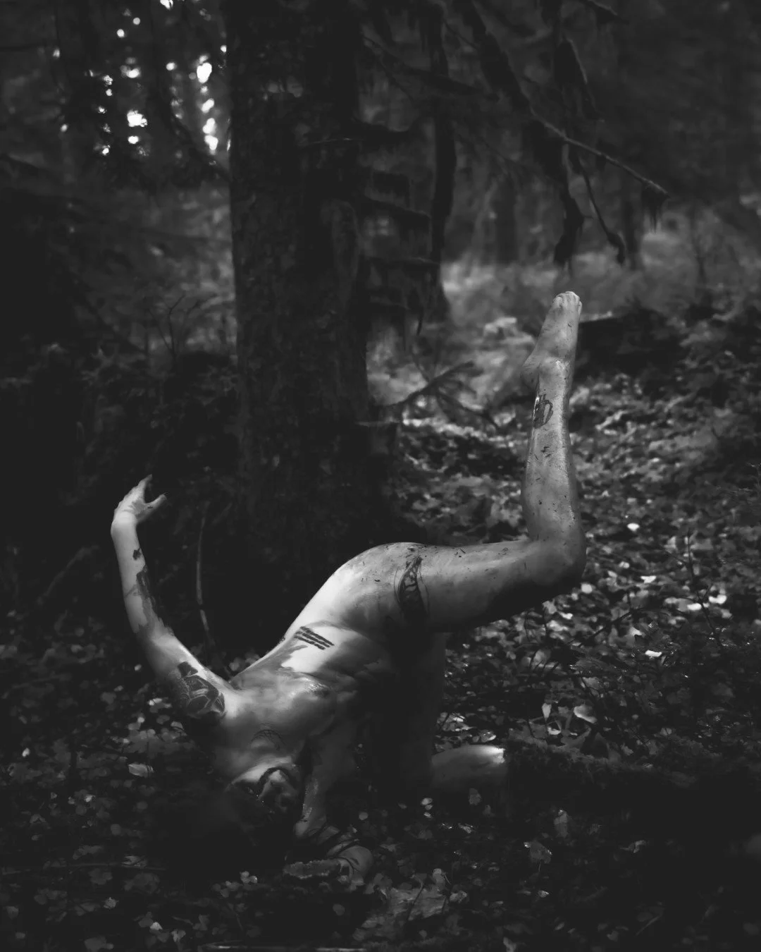 Zander wasp -20 (Large).JPG