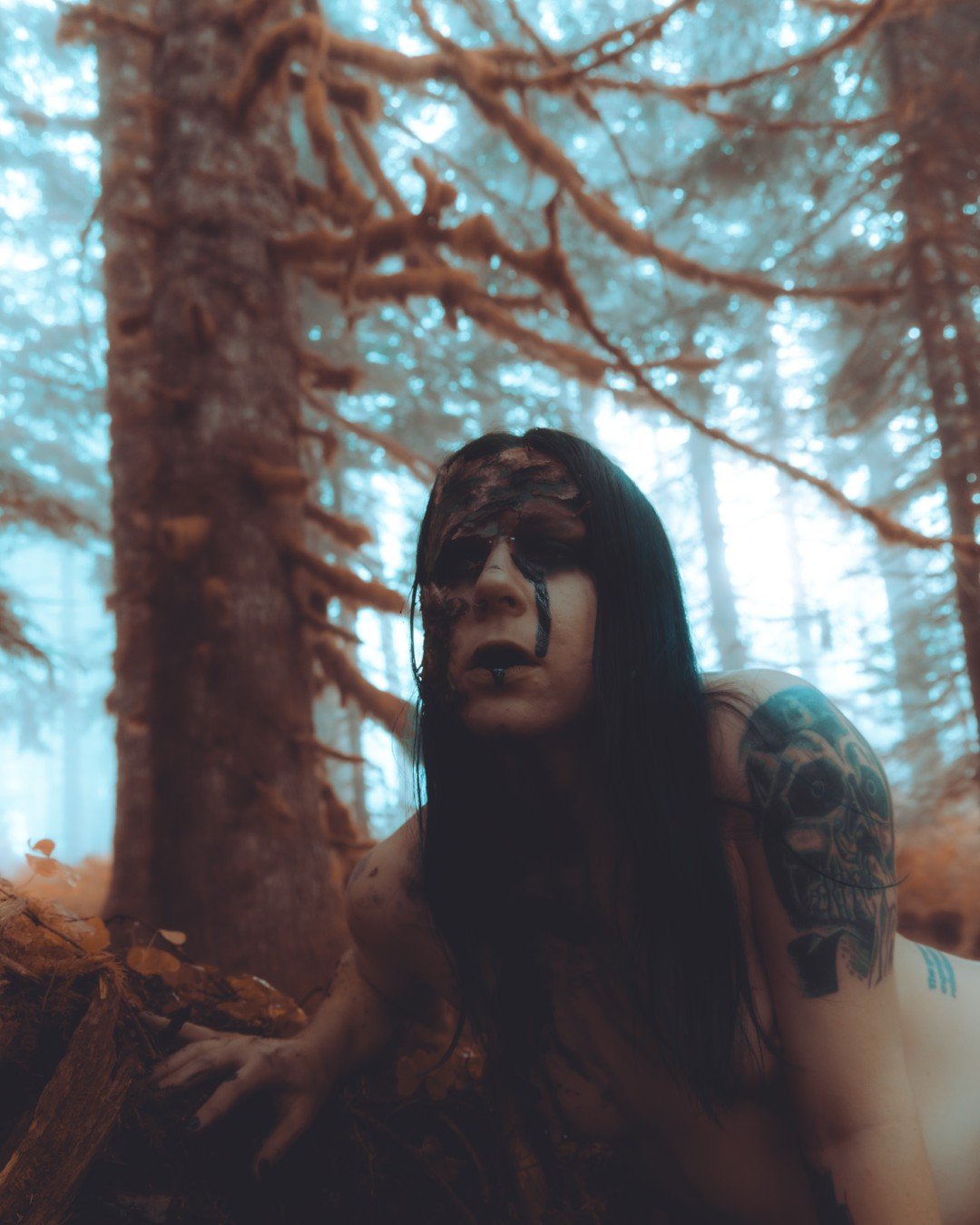 Zander wasp -10 (Large).JPG