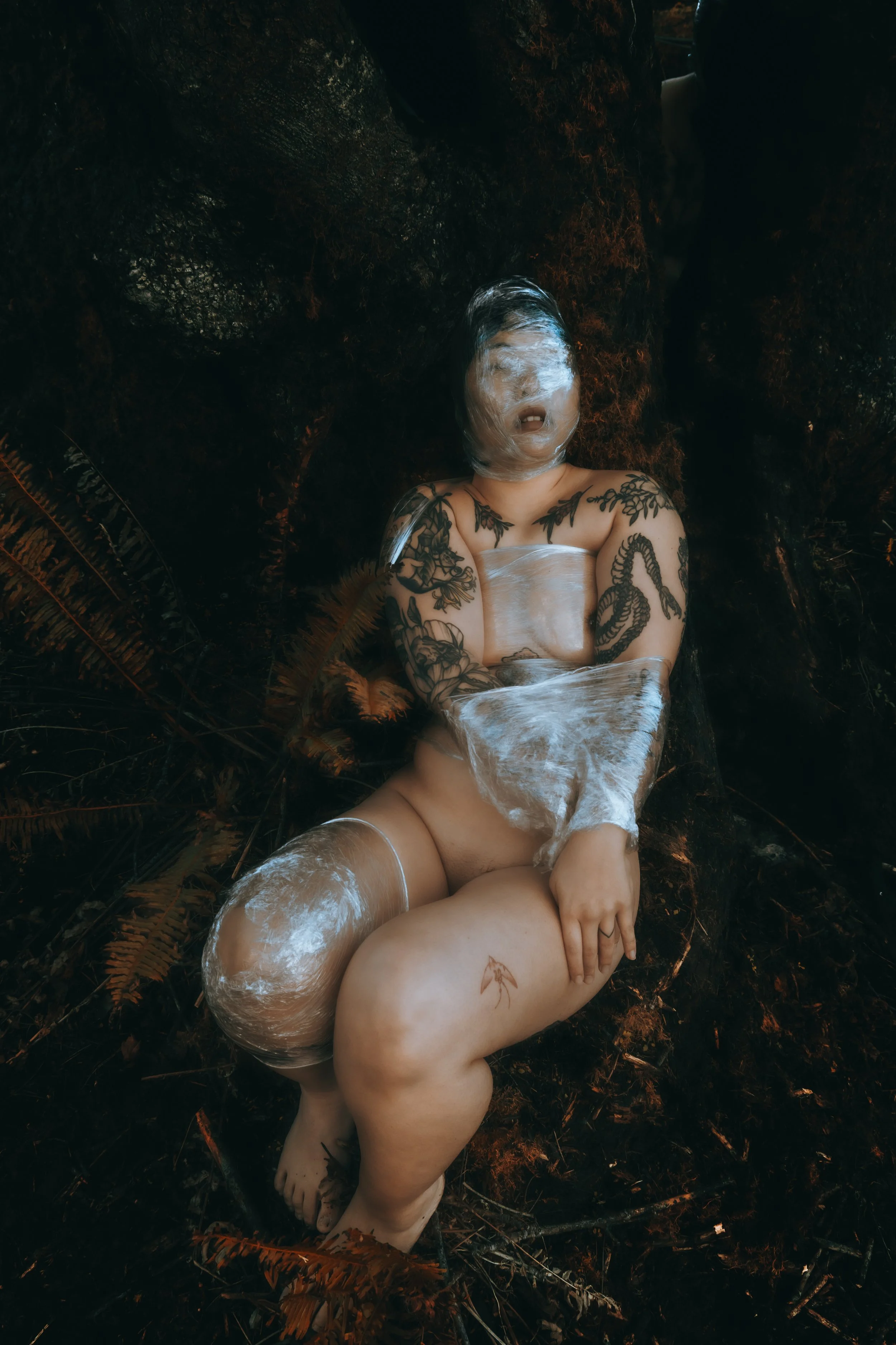 Saran Wrap Tree-20.jpg