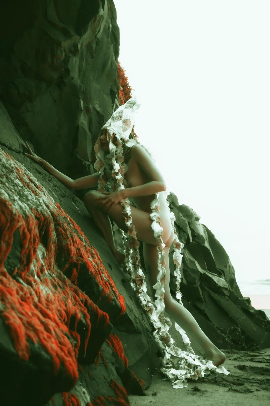 Squid beach-69 (Large).JPG