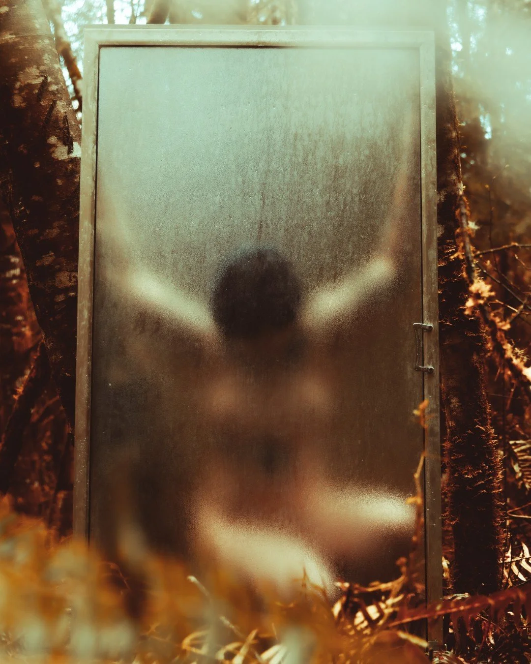 Forest Shower-13 (Large).JPG