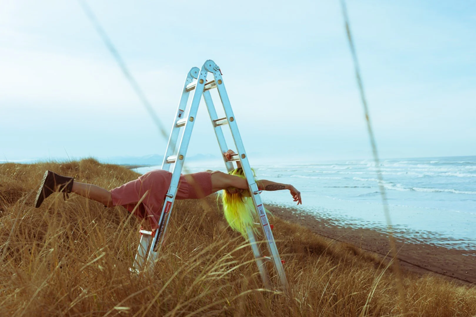 ladder-14 (Large).JPG