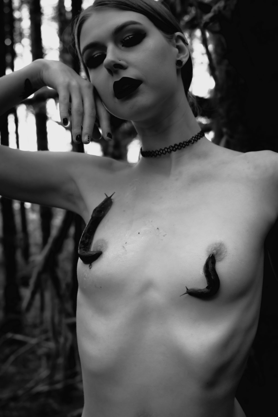 Slug scapes-14 (Large).JPG