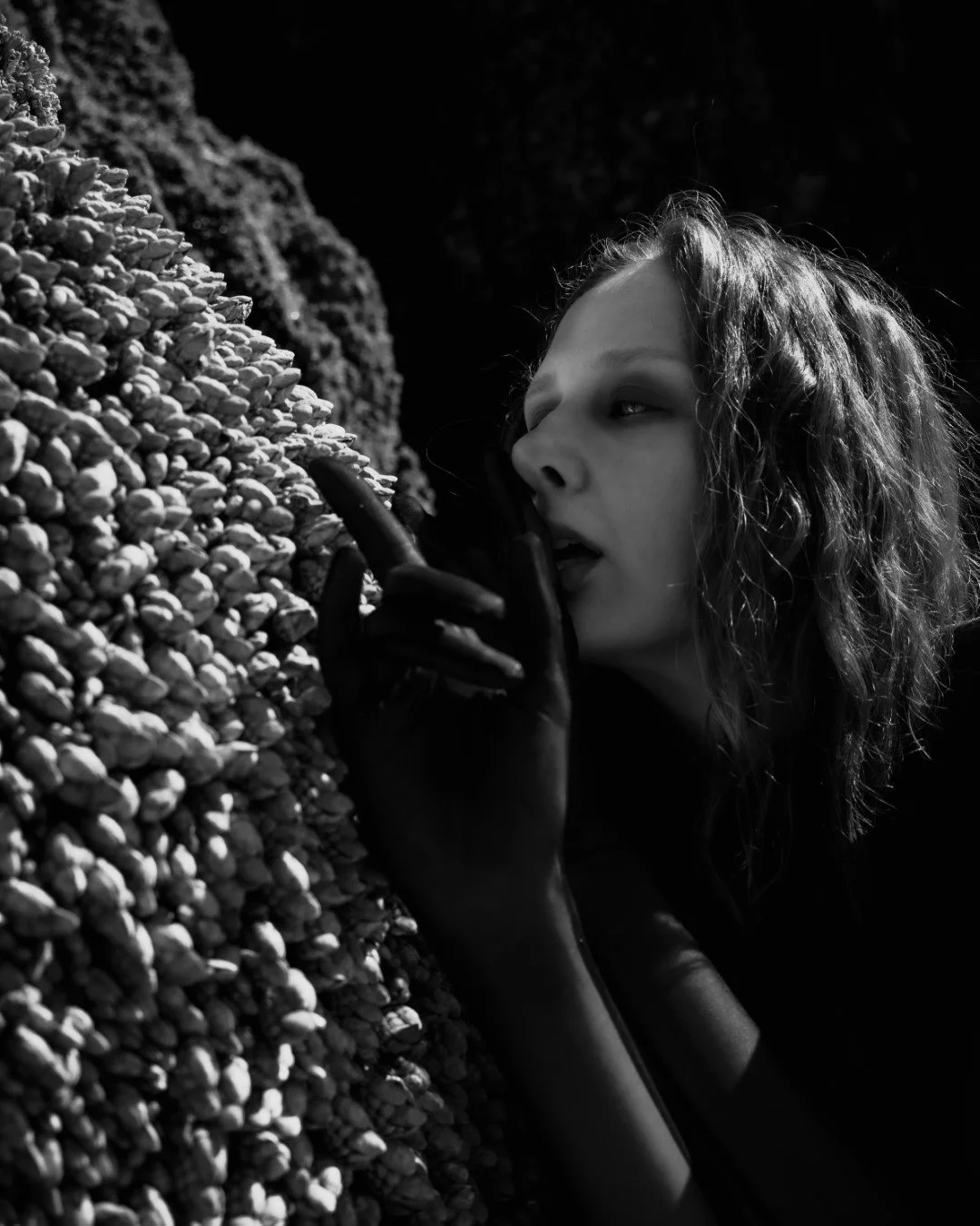 Squid beach-47 (Large).JPG