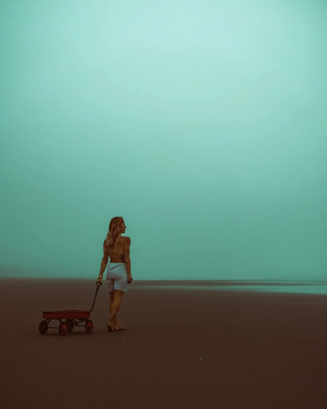 wagon-40 (Large).JPG