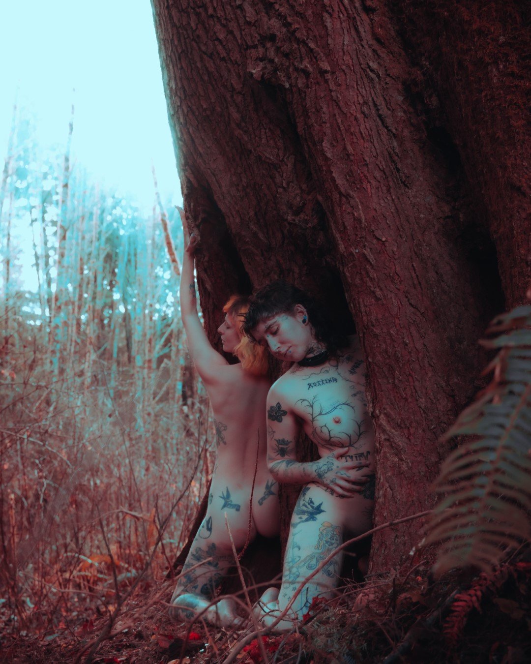 devil tree-11 (Large).JPG