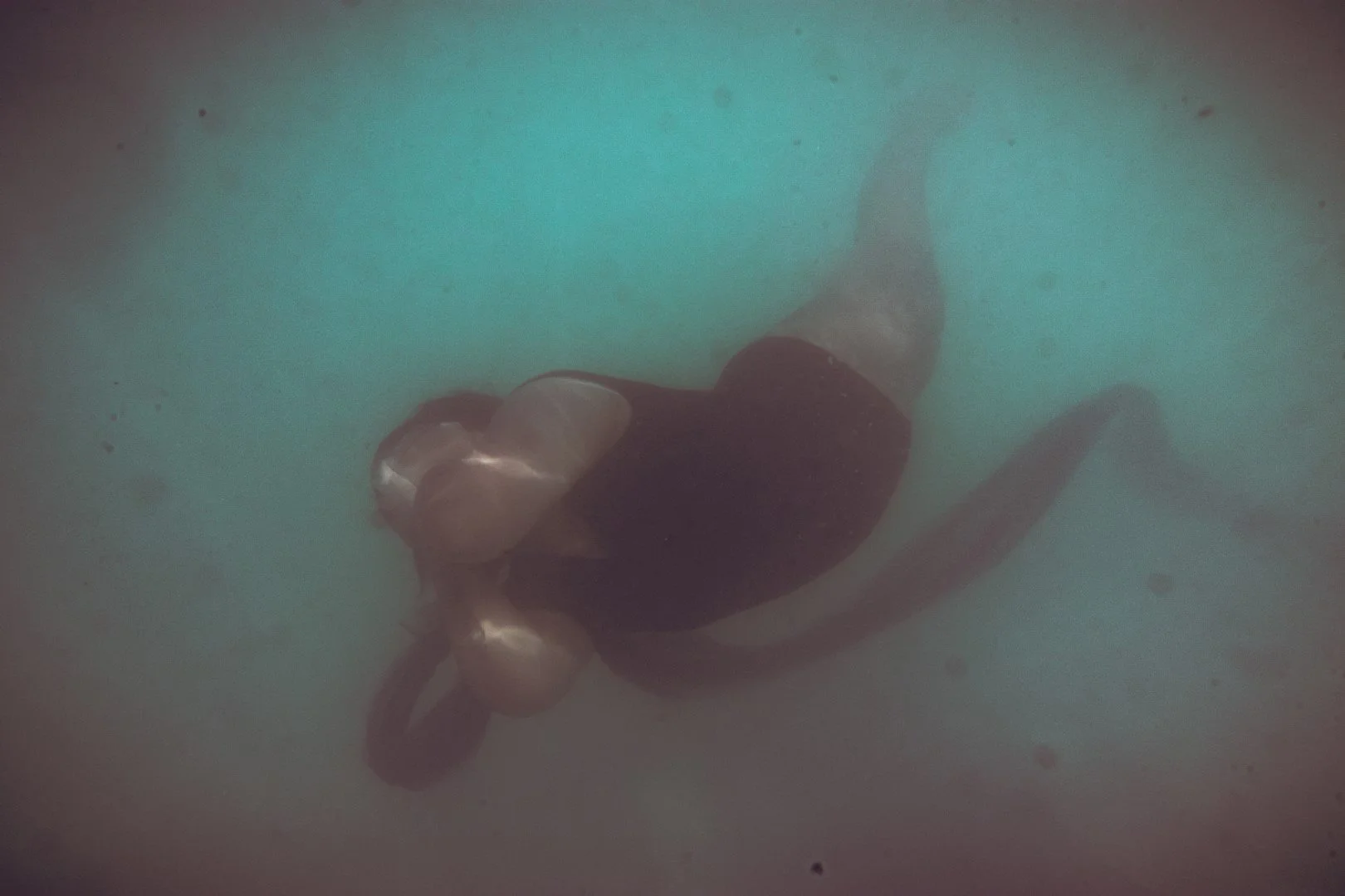 oct 3 pool-115 (Large).JPG