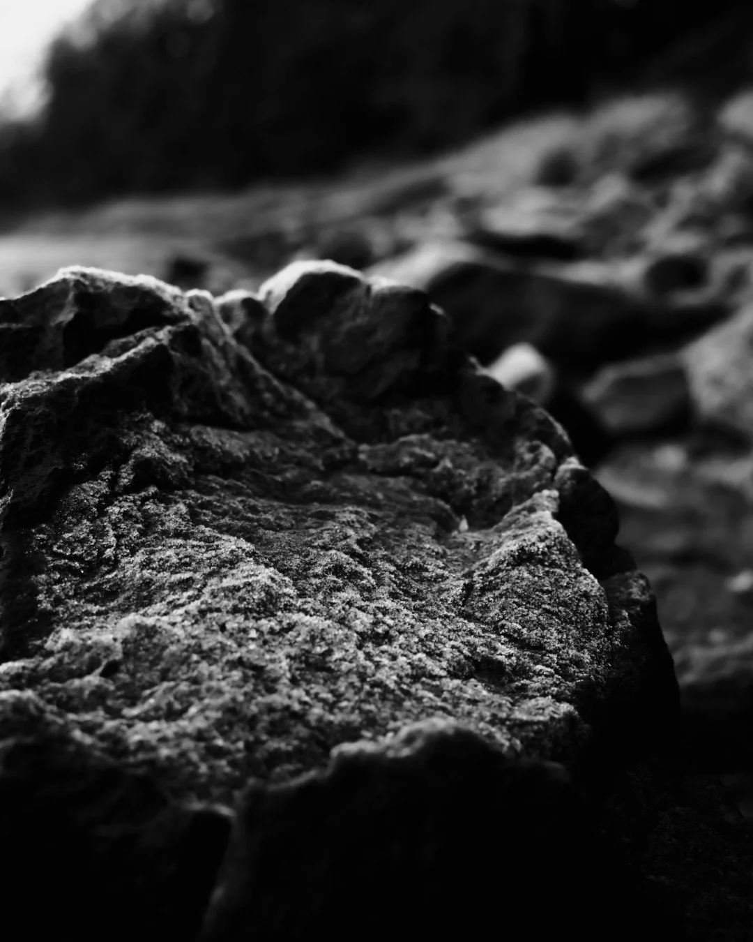 mt hood -72 (Large).JPG