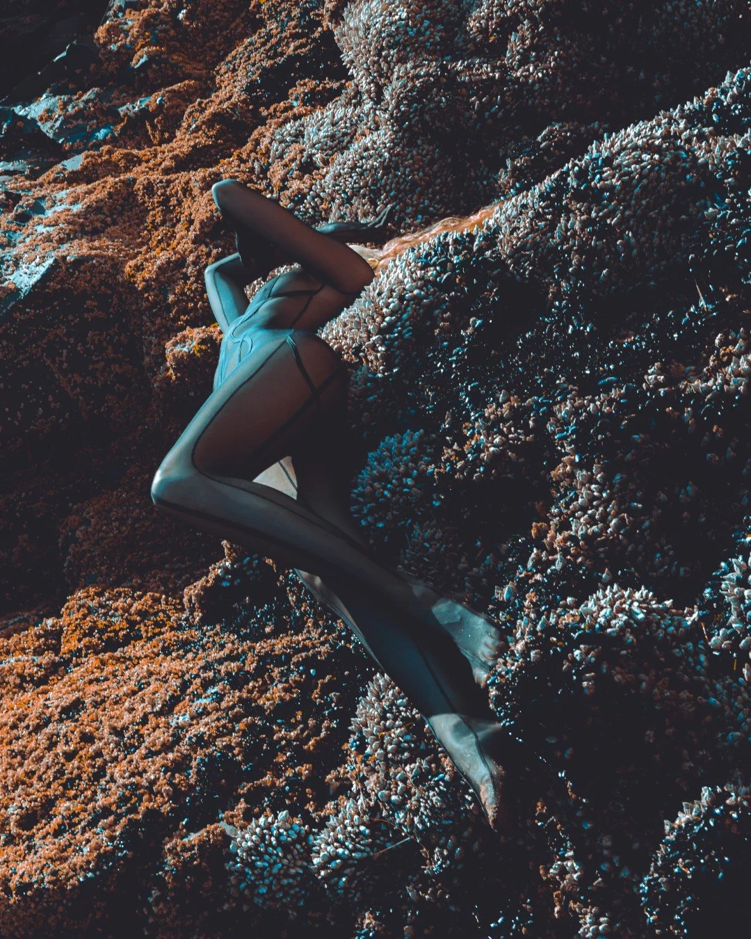 Squid beach-37 (Large).JPG