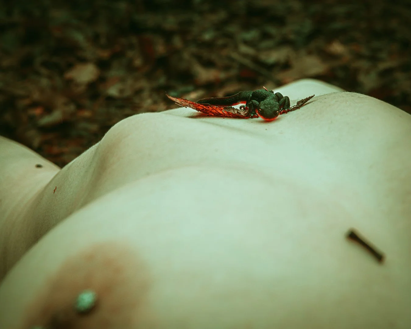 alayna pond-18 (Large).JPG
