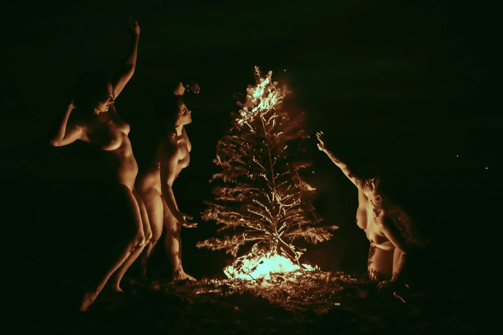 Beach Tree Fire-26 (Large).JPG