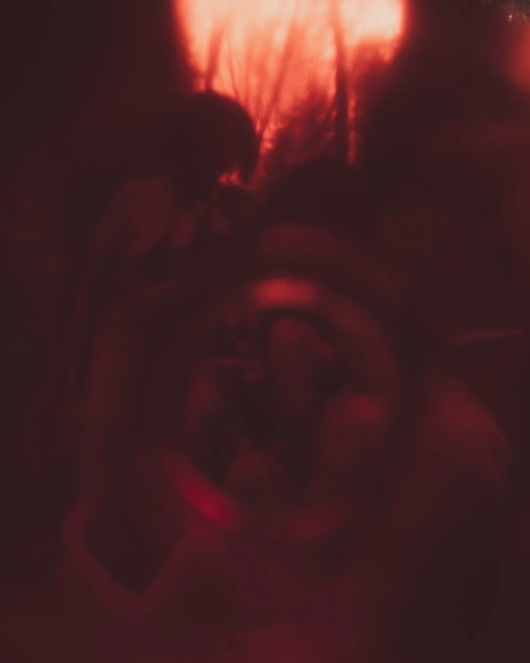 woods groupsex-16 (Large).JPG