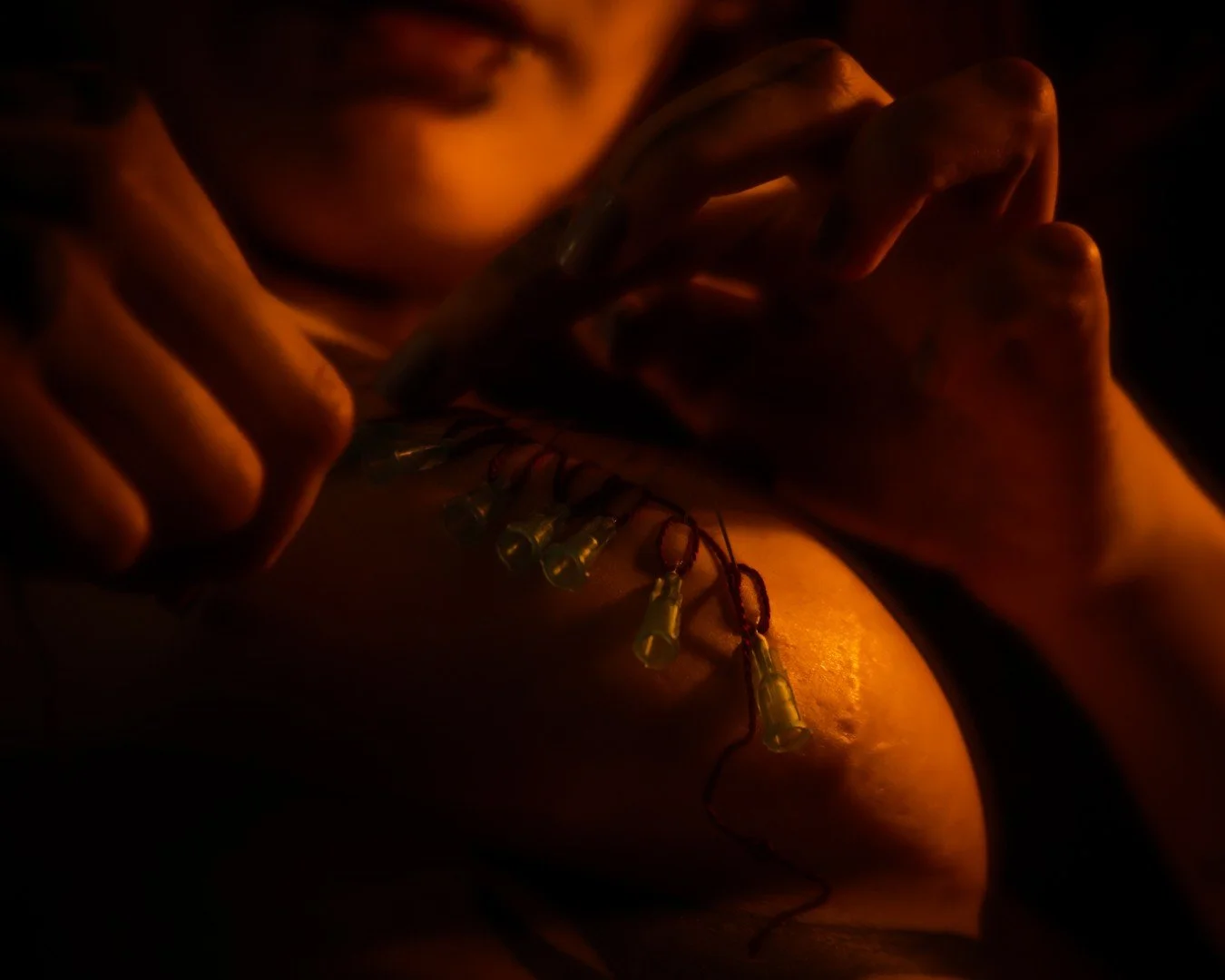 Sin needles-13 (Large).JPG