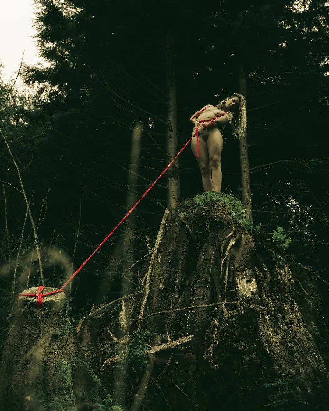 Burdened-1 (Large).JPG