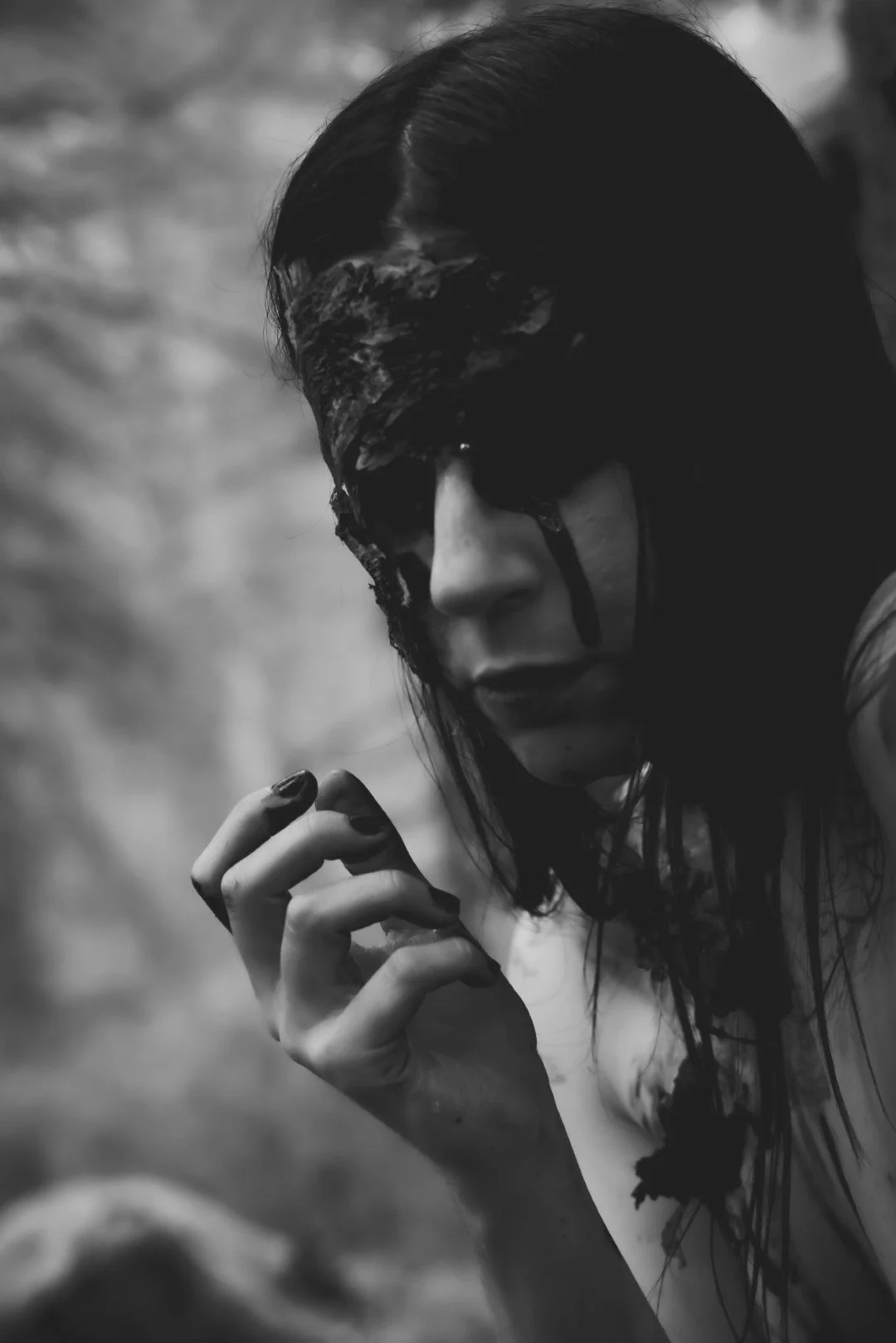 Zander wasp -9 (Large).JPG