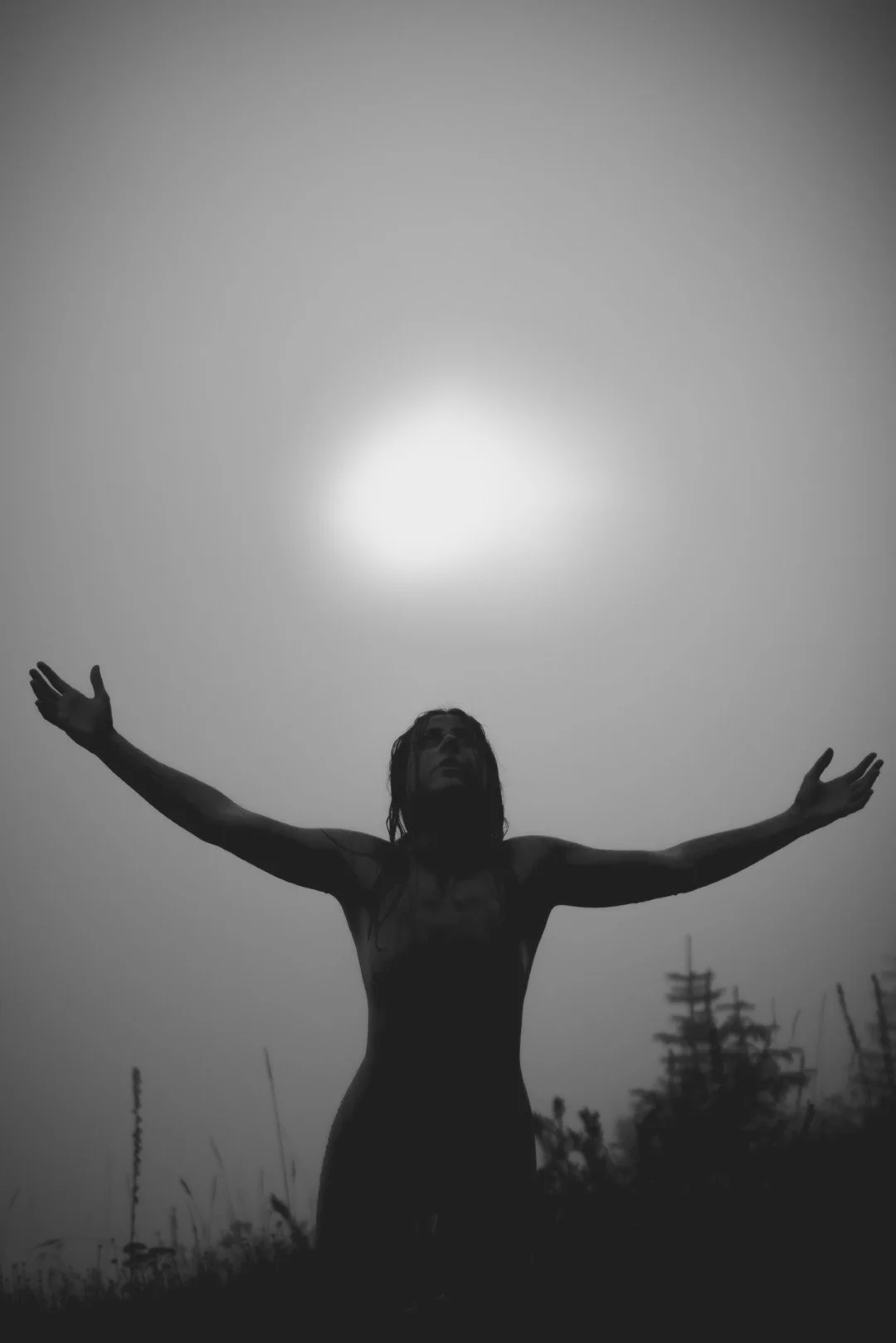 Zander wasp -67 (Large).JPG