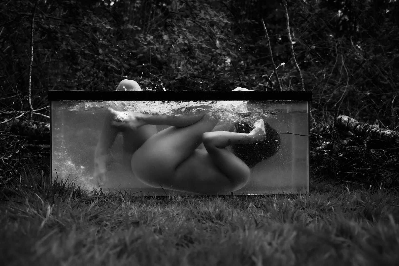 Shy Tank-3 (Large).JPG