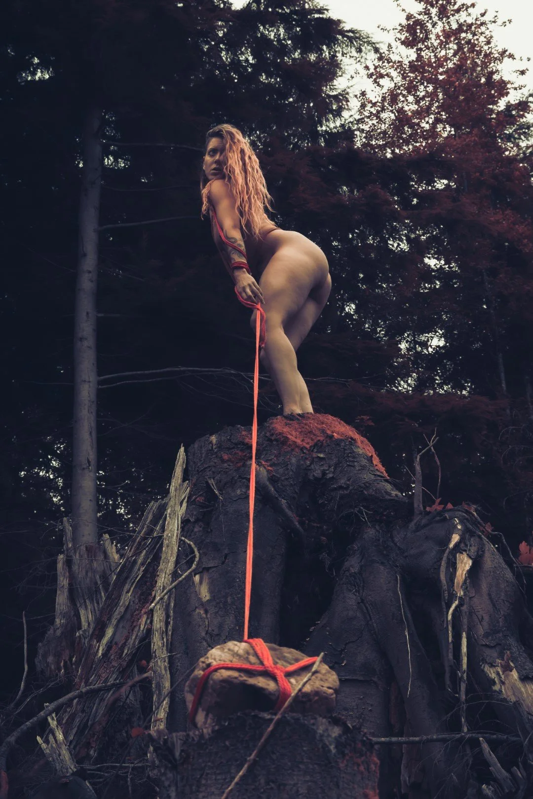 Burdened-3 (Large).JPG