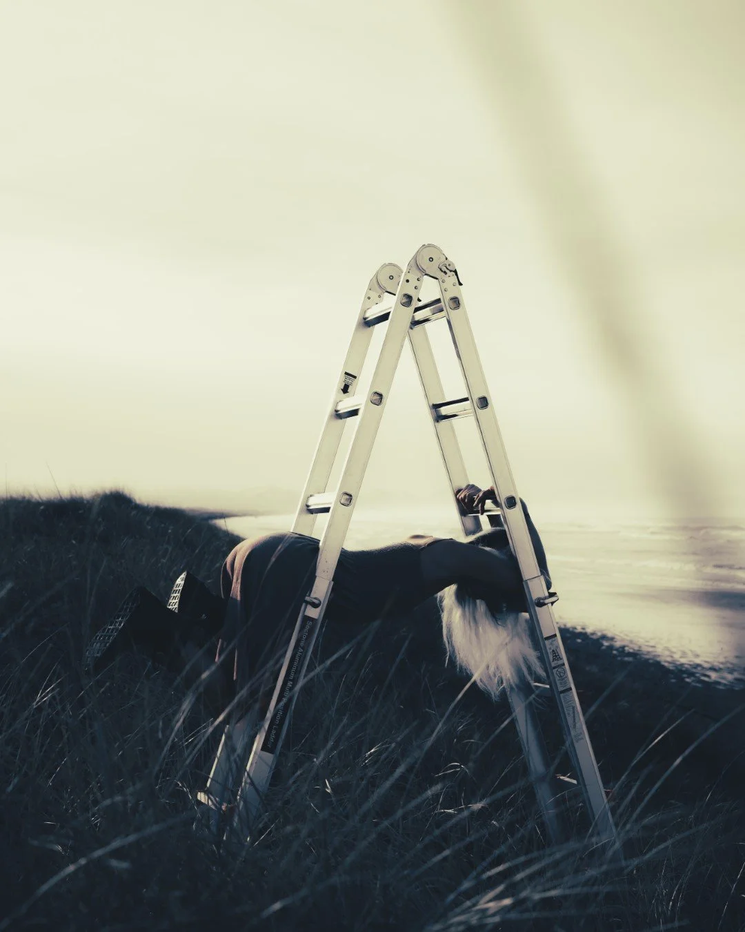 ladder-13 (Large).JPG