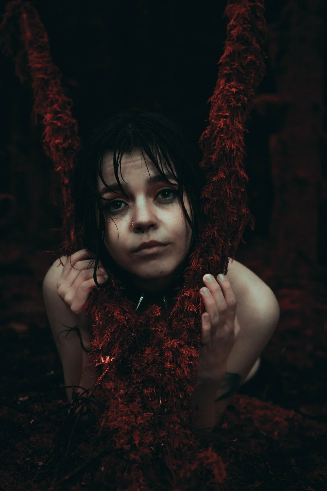 alexis tv-24 (Large).JPG