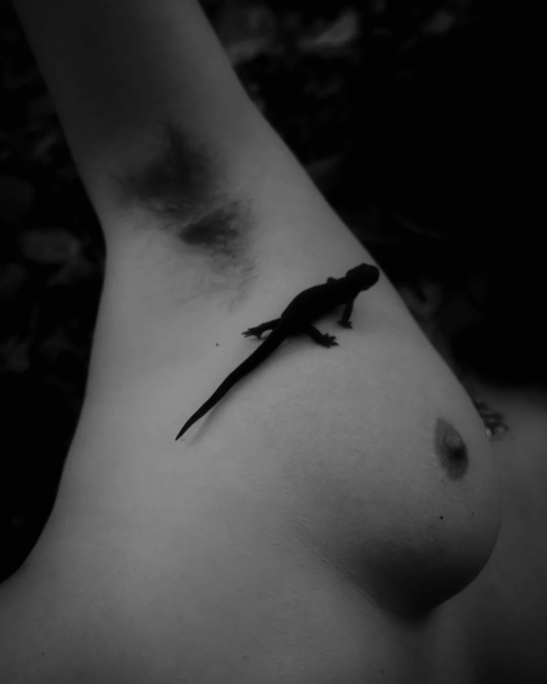 Enduring-7 (Large).JPG