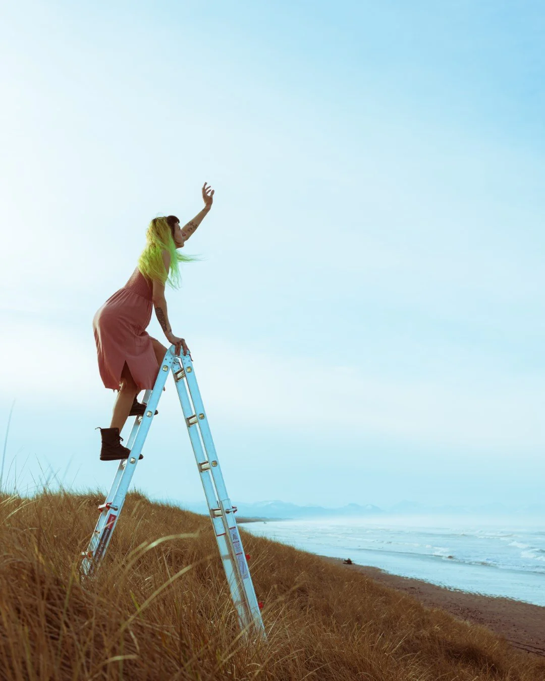 ladder-4 (Large).JPG