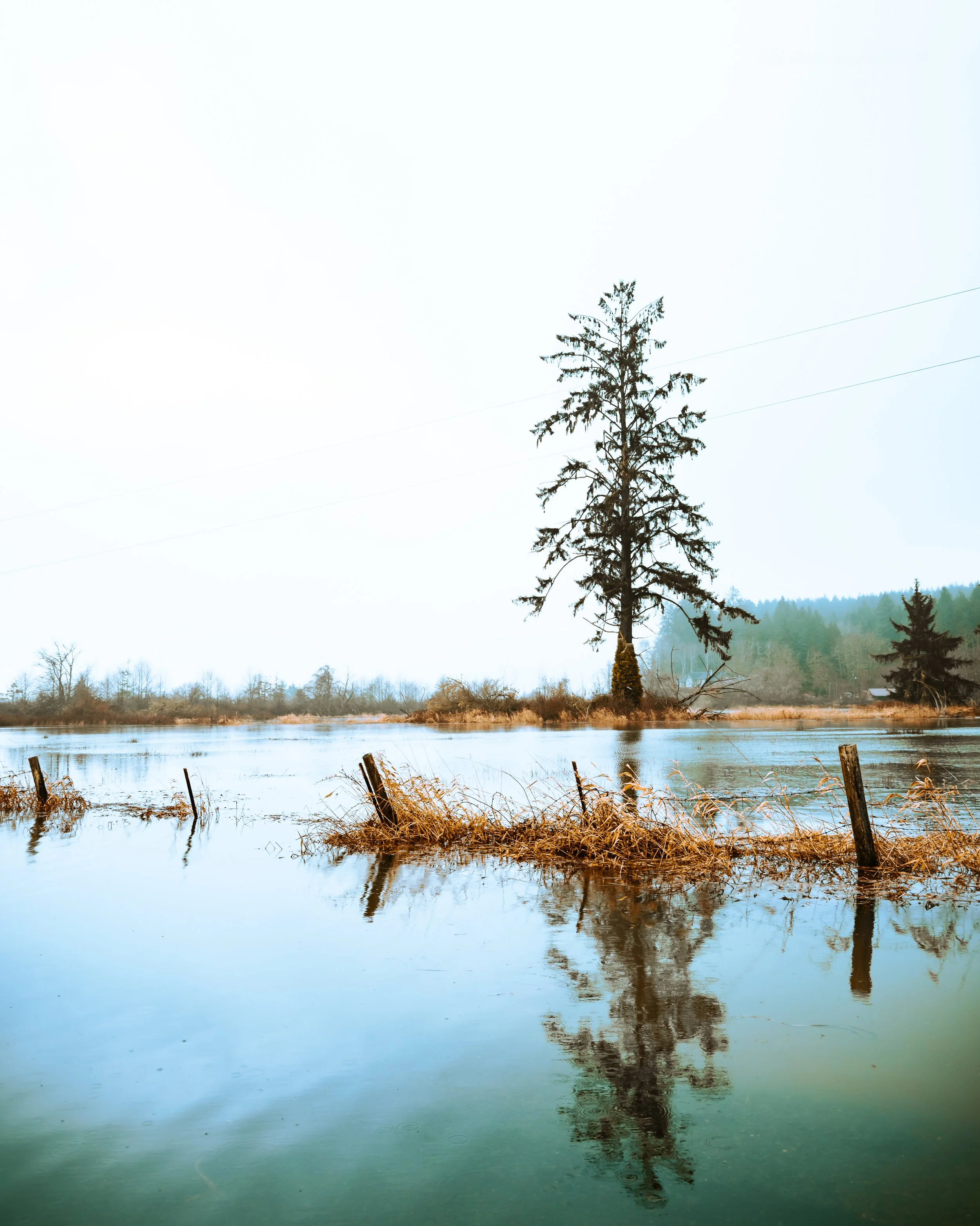 Cloud and Spencer-11.JPG