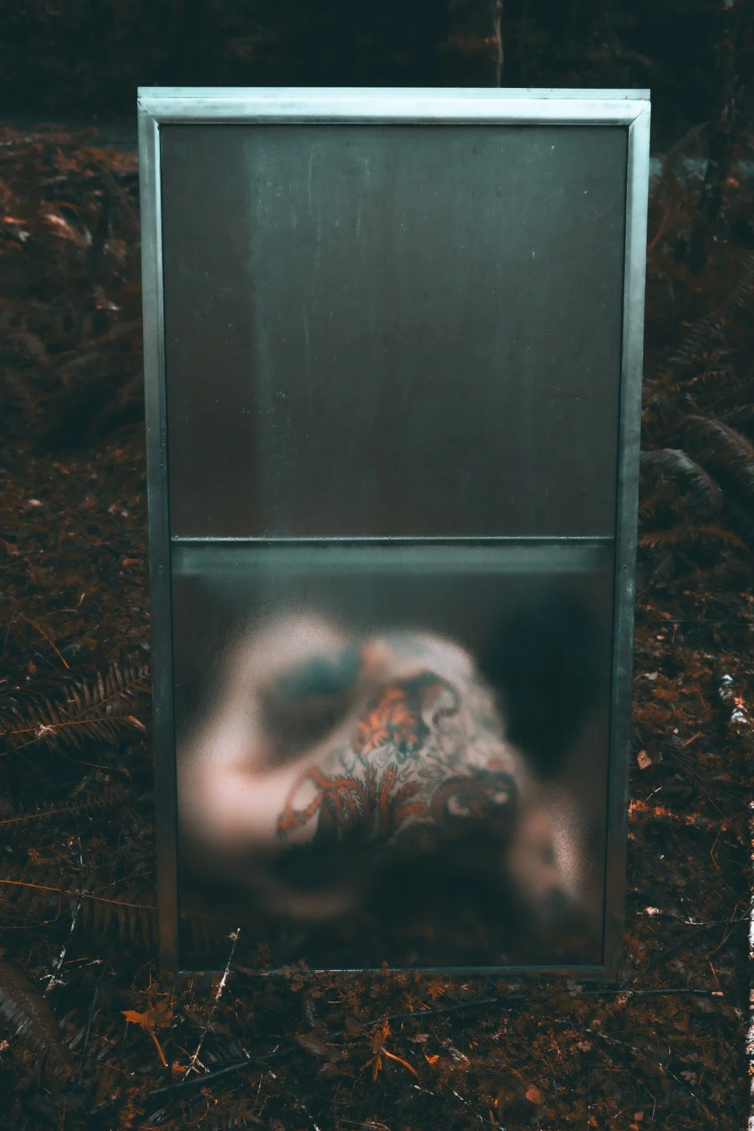 Forest Shower-44 (Large).JPG