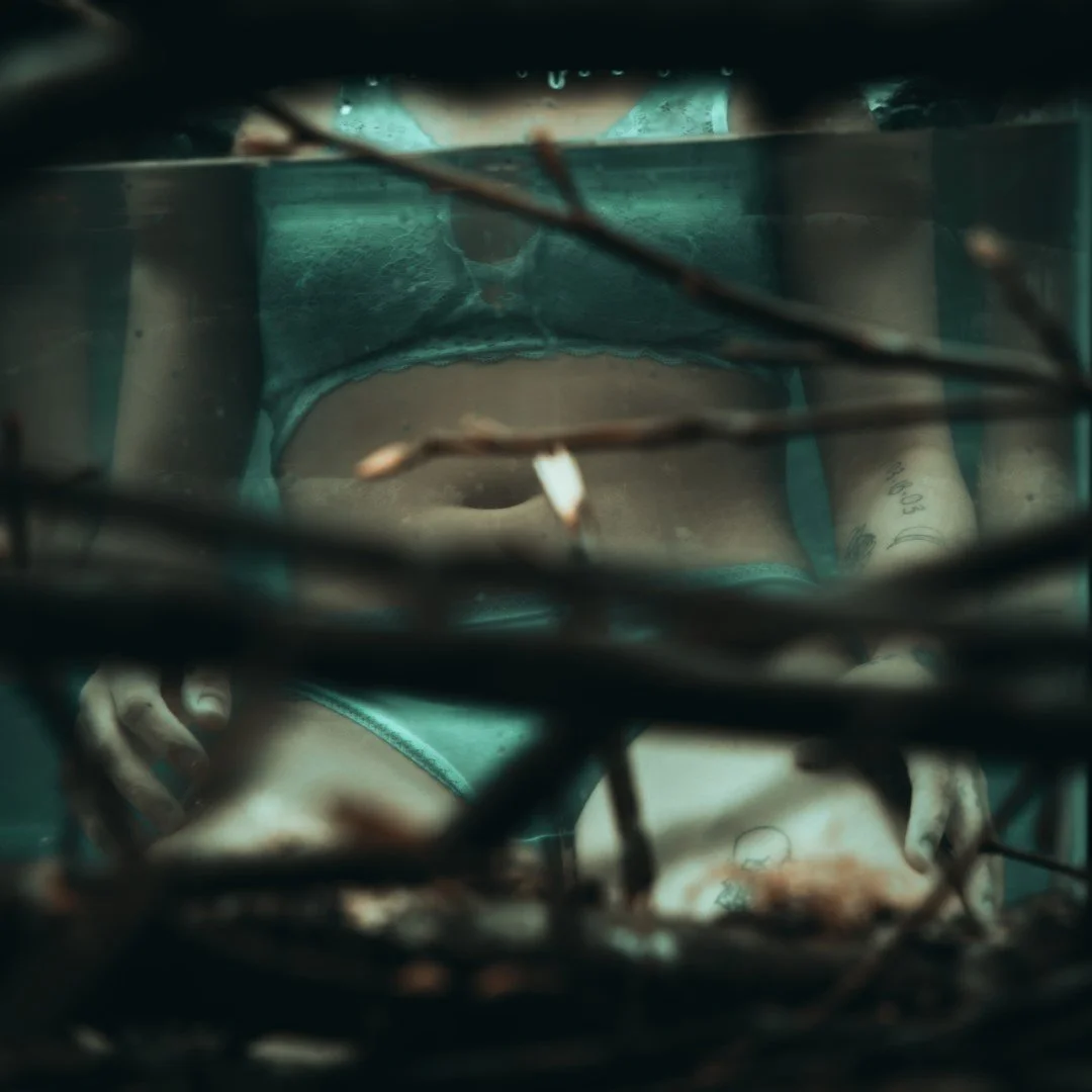 Shy Tank-16 (Large).JPG