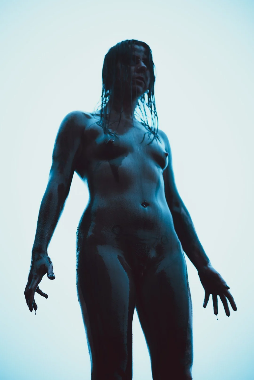 Zander wasp -61 (Large).JPG